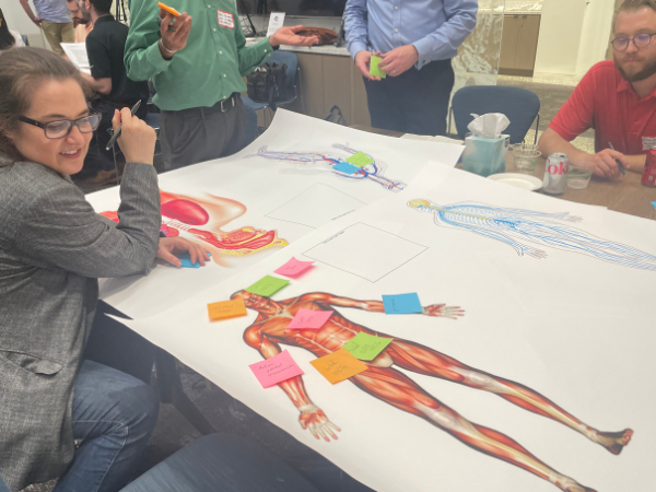 Woman looking at human musculature diagram